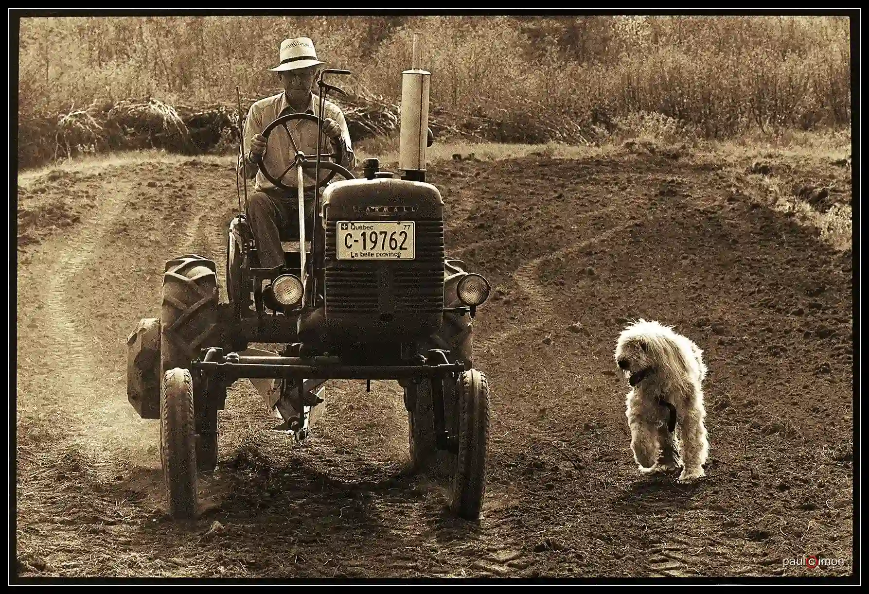 83680 agriculteur sur son tracteur